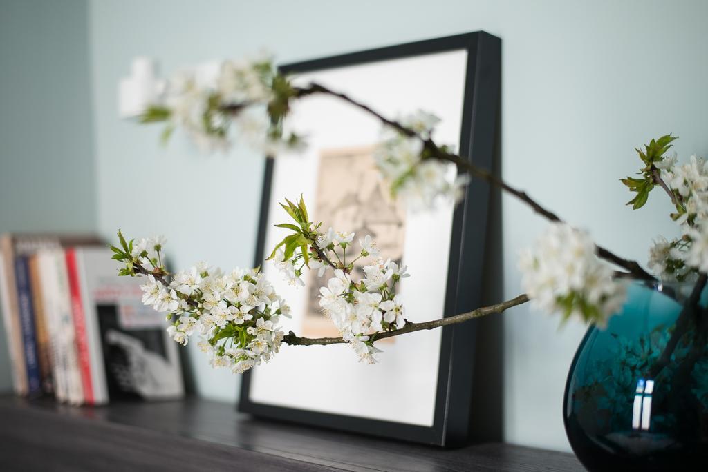 Apartament Paulove Krasków Εξωτερικό φωτογραφία